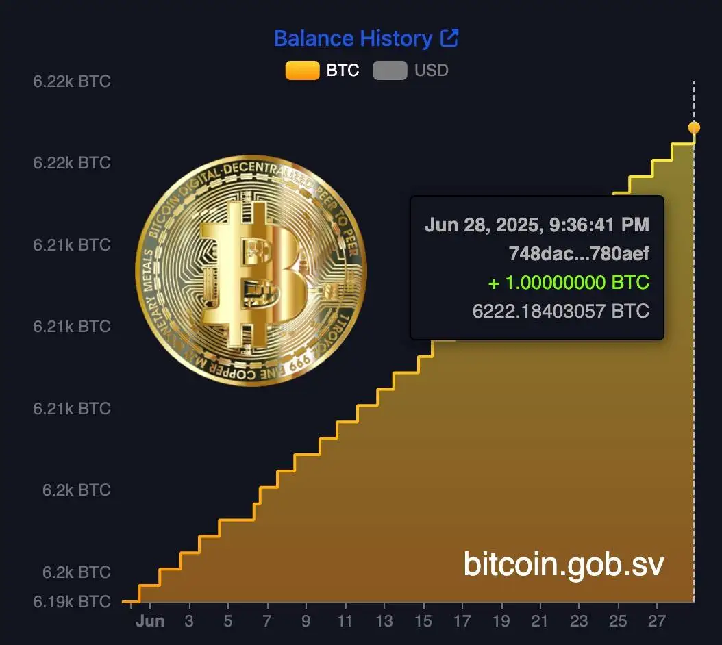 萨尔瓦多于约10分钟前完成1 BTC购入操作
