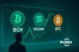 比特币和比特现金怎么选？投资标的对比解析