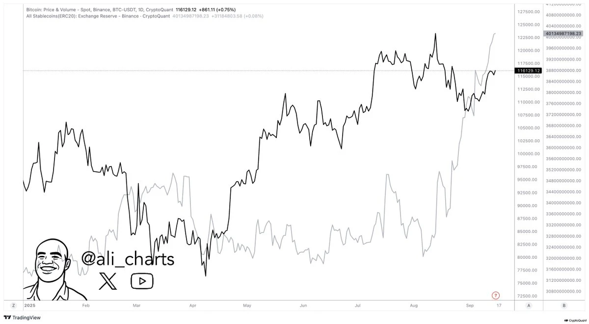 币安稳定币储备达400亿美元创历史新高，分析师Ali监测确认