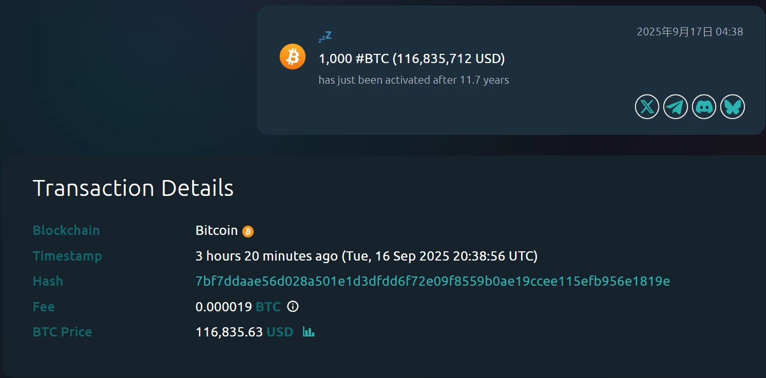 Whale Alert监测：沉寂11.7年比特币地址被激活，持有1000枚BTC